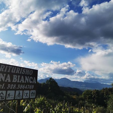 Agriturismo Donna Bianca 모르마노 외부 사진