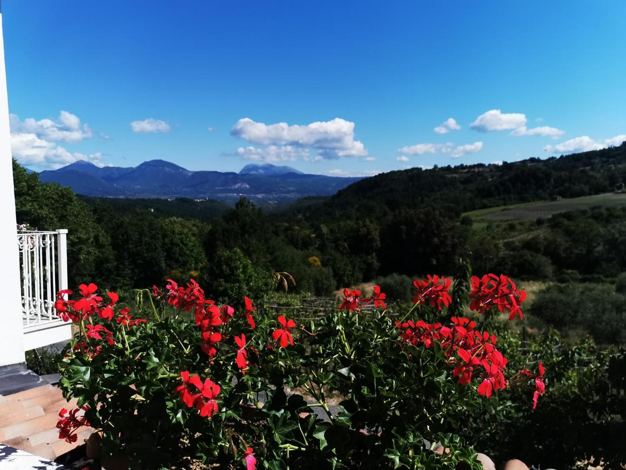 Agriturismo Donna Bianca 모르마노 외부 사진