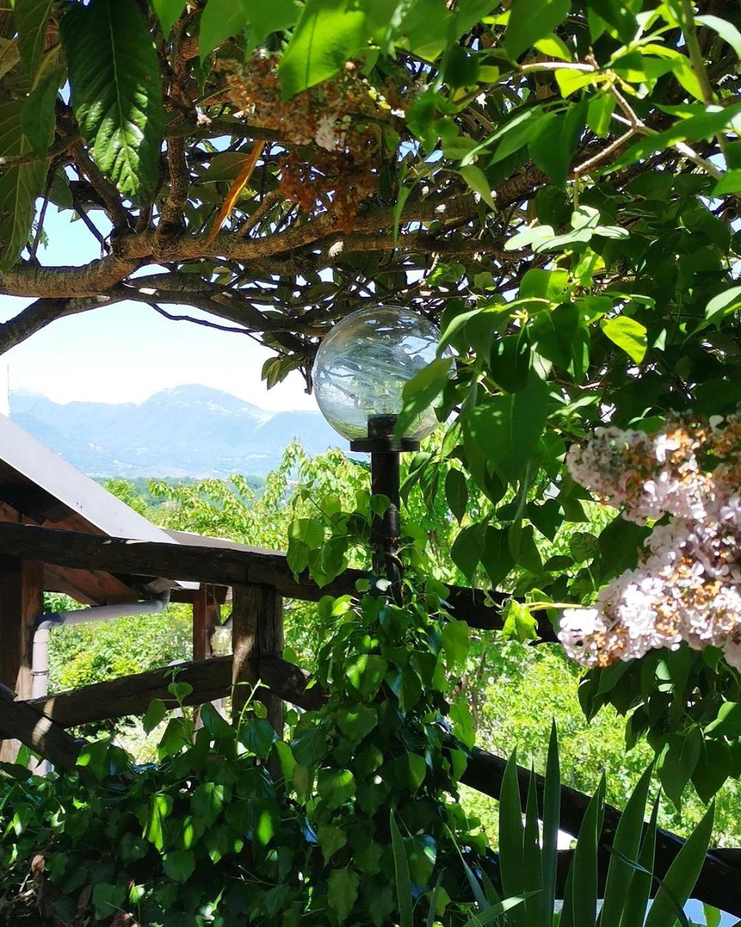 Agriturismo Donna Bianca 모르마노 외부 사진
