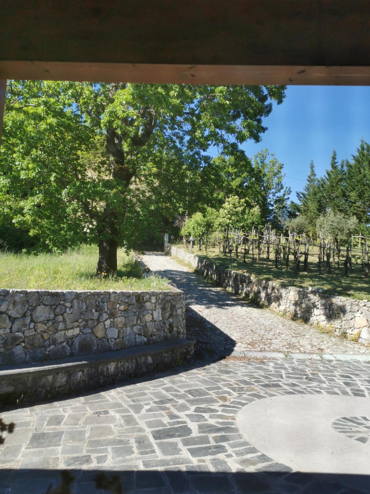 Agriturismo Donna Bianca 모르마노 외부 사진