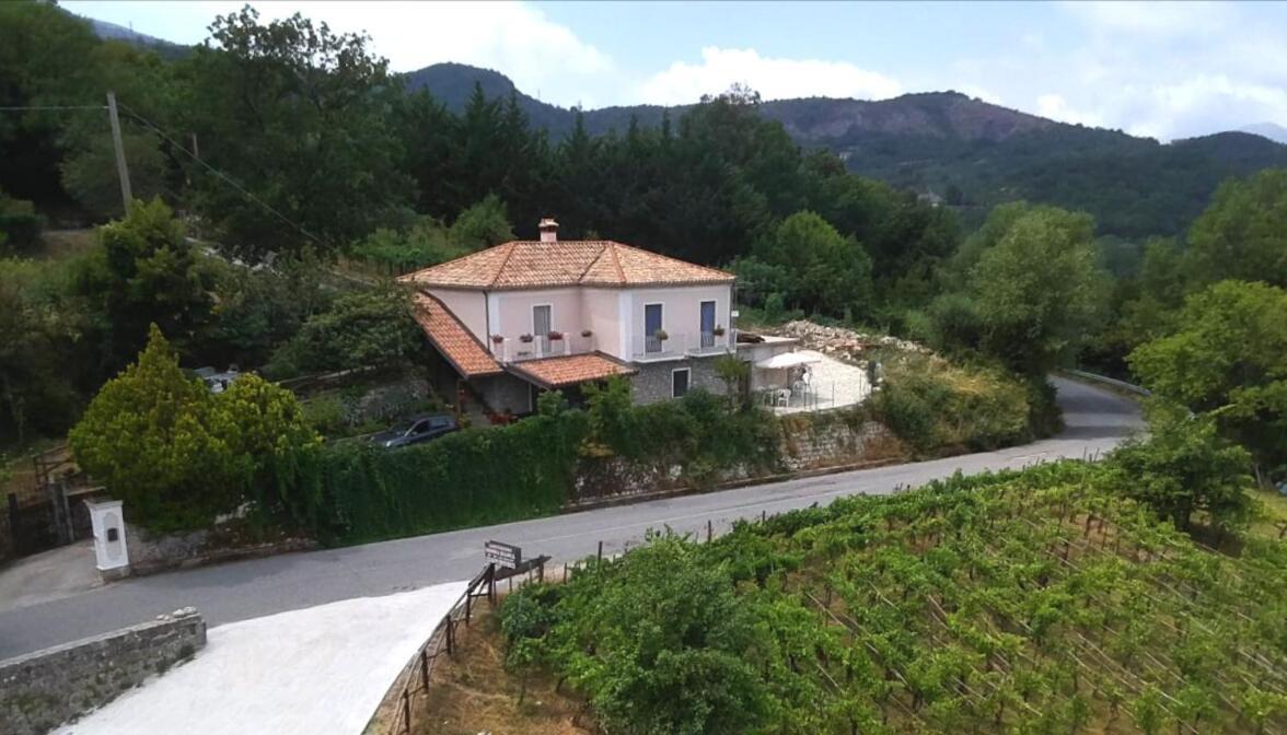 Agriturismo Donna Bianca 모르마노 외부 사진